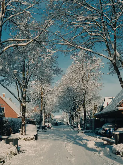 A snow covered residential street under bare trees on a bright winter day.